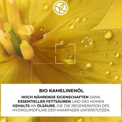 Voedende shampoo, Droog & zeer droog HAir